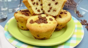 MUFFIN COM GOTAS DE CHOCOLATE E COCO