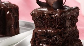 BOLO LOW CARB